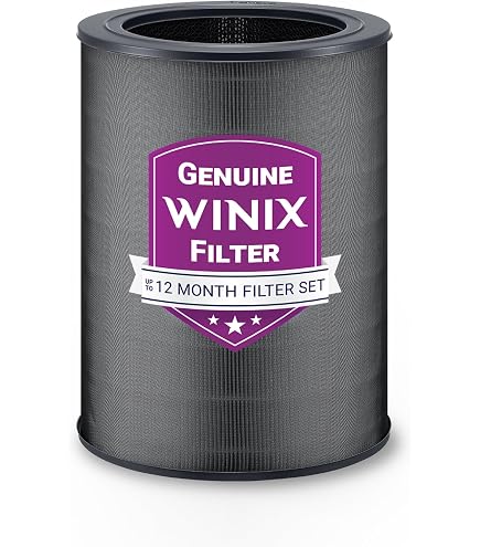 Amazon.com: Genuine Winix 112180 Replacement Filter N for NK100